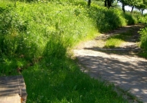 Hetschbach